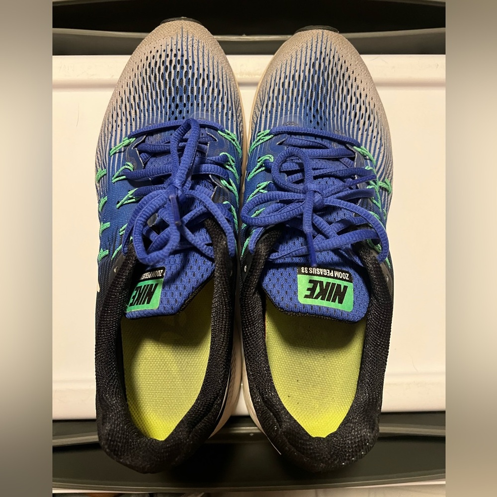 Mens Nike Air Zoom Pegasus 34